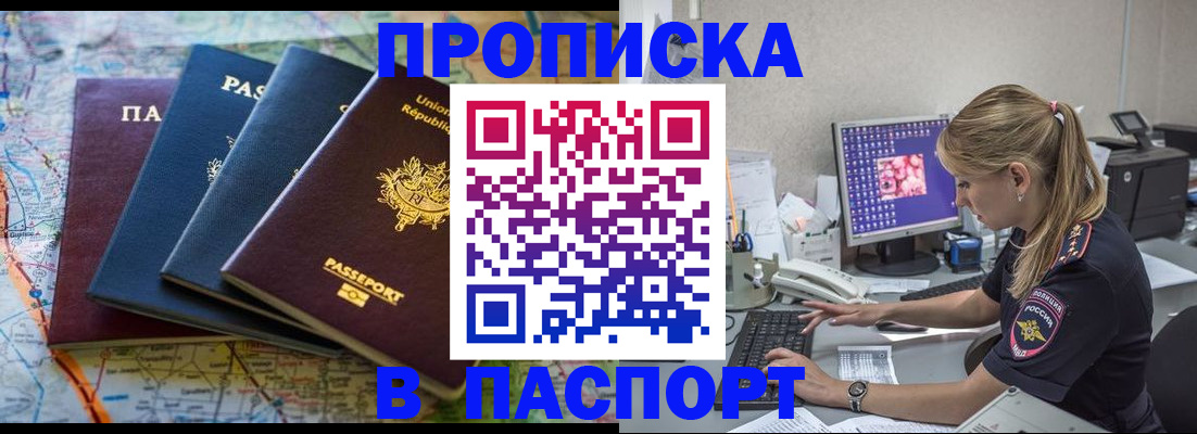 прописка в квартире в Кольчугино